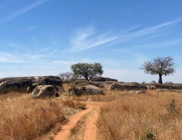 Bilddurchlauf_Ruaha